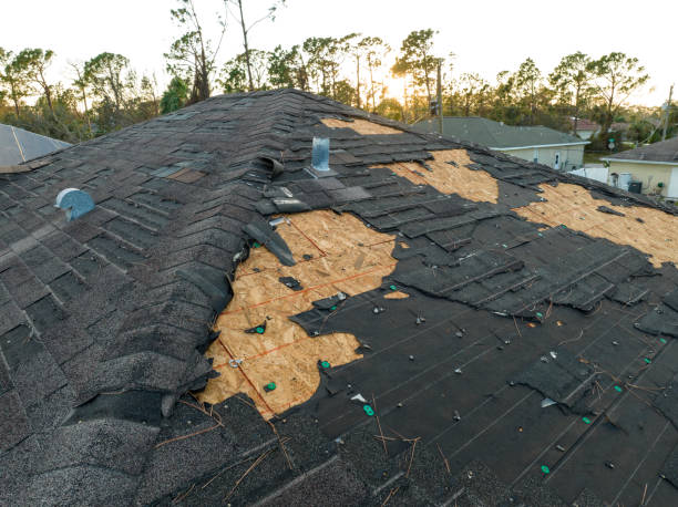 Best Green or Eco-Friendly Roofing Solutions  in Beeville, TX
